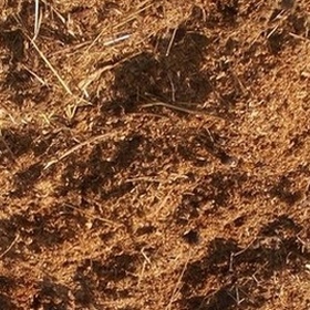 Коровий навоз